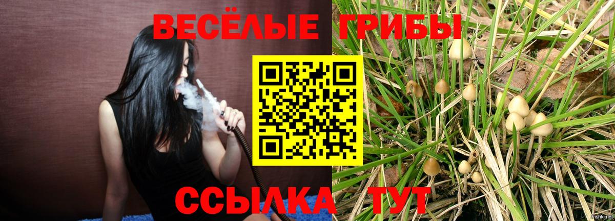 наркотики  Галлюциногенные грибы Psilocybe  Вход с VPN  Трёхгорный 
