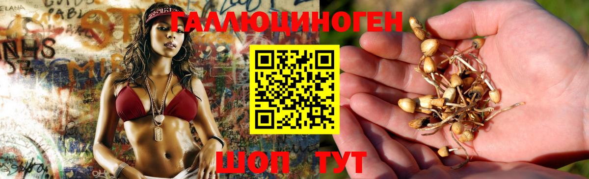 Псилоцибиновые грибы ЛСД Трёхгорный